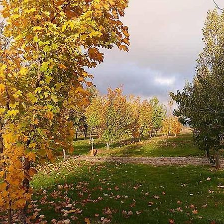 Camping Ain Jaca Bagian luar foto