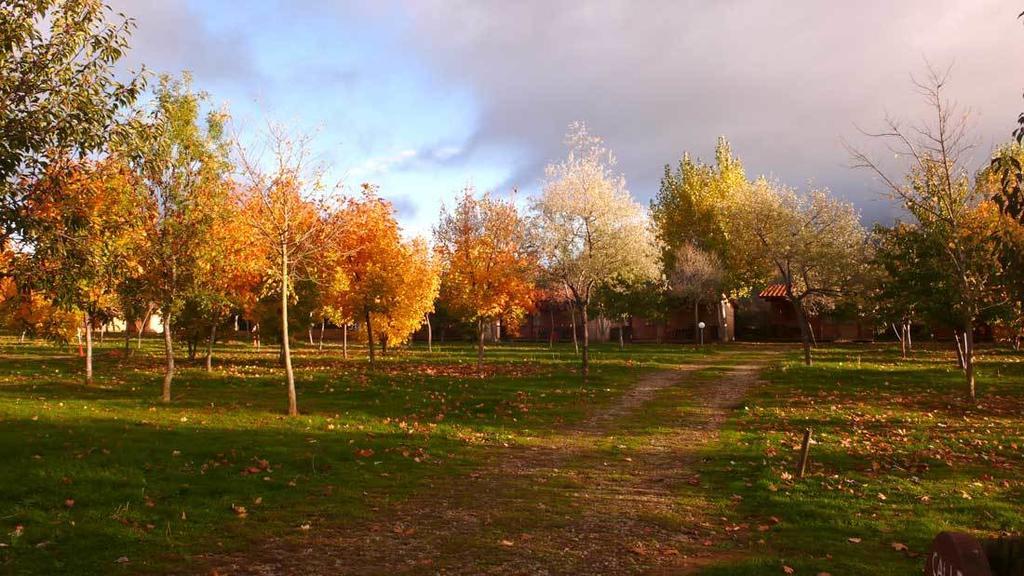 Camping Ain Jaca Bagian luar foto