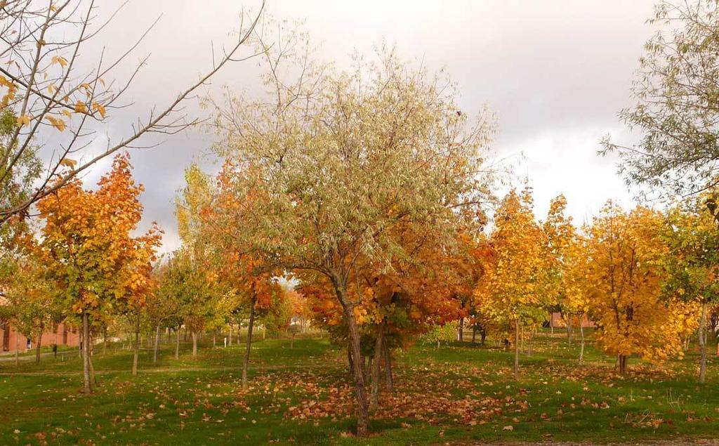 Camping Ain Jaca Bagian luar foto